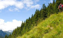 Wandern durch die Harburger Berge