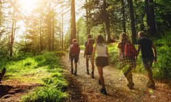 Advents-Spaziergang rund um den Feldmochinger See mit Ausklang beim Griechen